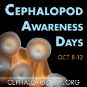 Cephalopod Awareness Day