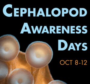Cephalopod Awareness Day