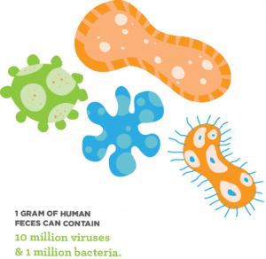 global handwashing feces facts