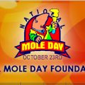 national mole day