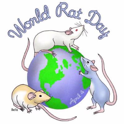 world rat day