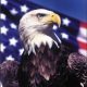 american eagle day