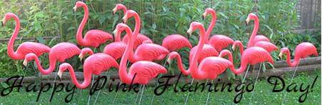 pink flamingo day