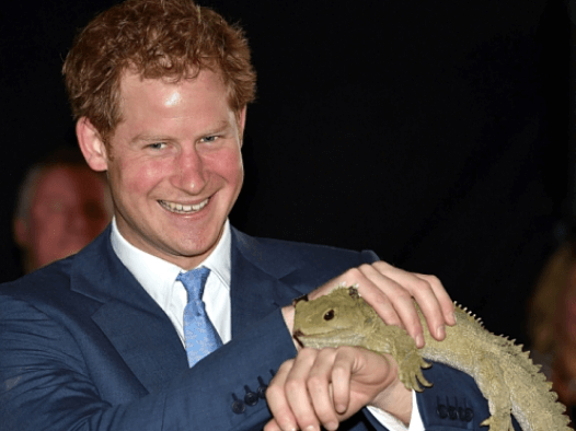 Tuatara Day Prince Harry with Henry